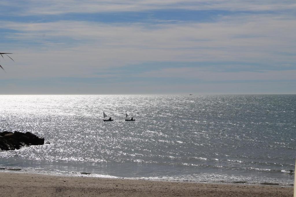 Hotei De La Plage Montpellier Sud Palavas-les-Flots Ngoại thất bức ảnh